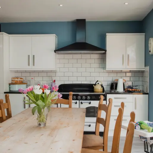 Boca Raton Home Cleaning Tips